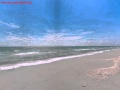 Plot In Jumeirah 15000 Sq Ft Price 700 Sq Ft Fro Sale