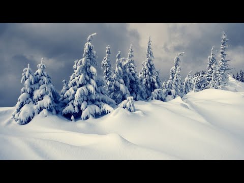 Best Lounge and Chill-Out Christmas Music | The Beauty of Christmas