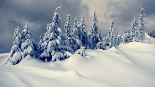 Best Lounge and Chill Out Christmas music - The Beauty of Christmas