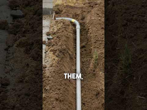 Ultimate Guide to Installing Landscape Lighting: Utilizing Conduit for a Cleaner Installation