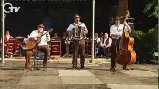 preview picture of video 'Neisteder-Zoiglmusi Drunt'n im Garten..., Serenade der Volksmusik in Weiden am 14.07.2013'