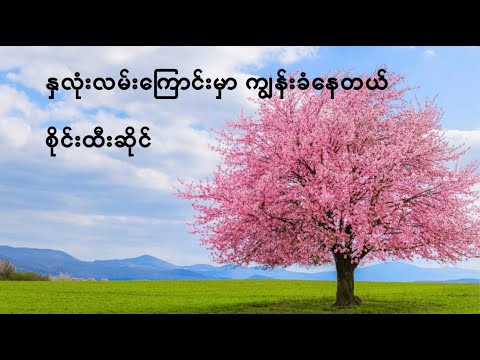 နှလုံးလမ်းကြောင်းမှာ ကျွန်းခံနေတယ် Na Lone Lan Kyaung Mar Kyun Khan Nay Dae   Sai Htee Saing