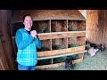 Chicken Coop Remodel: Roosts, Storage, and Nest Boxes