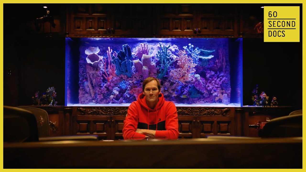 Fancy Fish Tanks for the Famous | Infinity Aquariums