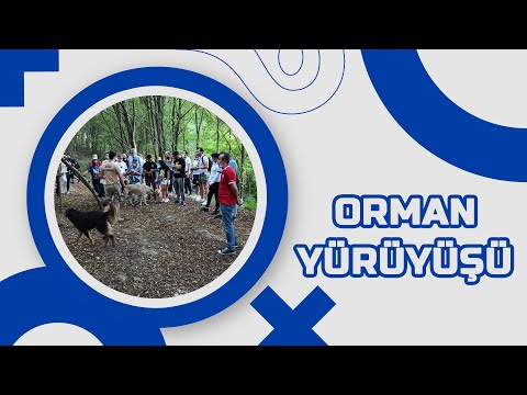Remax Müjde | Orman Yürüyüşü