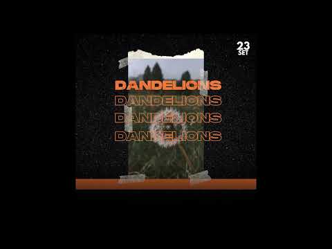 [FREE] Type Beat Sagaz x Don Toliver (Love Song) - "Dandelions" (Prod.Kksh)