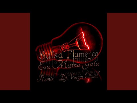 TEMAS DJ VARGAS OFICIAL " ESA MISMA GATA " REMIX (Remix)
