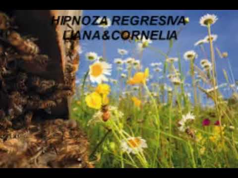 Hipnoza regresiva 263 Cristina