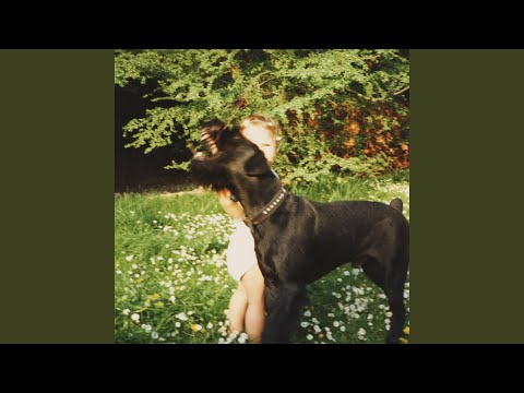 Schimmelnde Herzen (feat. Audio88, Ipsilonrumpel)