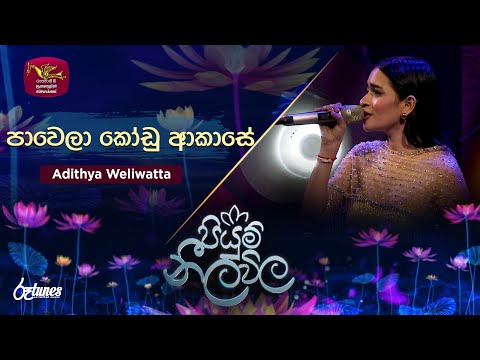 Pawela Kodu Akase | පාවෙලා කෝඩු ආකාසේ | Adithya Weliwatta | Piyum Neela Vila | Roo Tunes