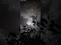 Netrikan Movie Video Whatsapp Status Tamil Sid Sriram Song Hd