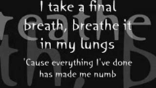 Senses Fail-Hold on(Lyrics on screen)