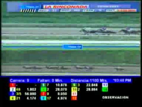 9NA CARRERA DOMINGO 29 ABRIL LA RINCONADA AUDIOHIPISMO