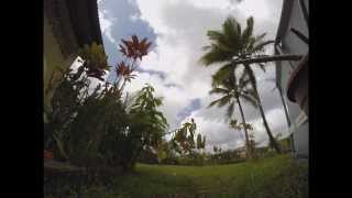 preview picture of video 'Timelaps GUYANE  gopro hero 3+'