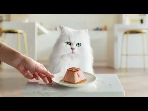 GOURMET™ REVELATIONS™: l’ultimo capolavoro del gusto