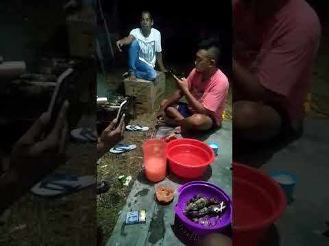 Keren...Orang Papua menyanyi lagu bugis, balo lipa - cover memel philatus