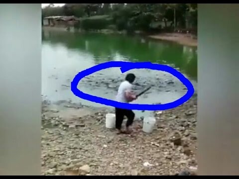 Daun potensi Super exciter untuk anak perempuan