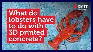 How lobsters can help make stronger 3D printed concrete