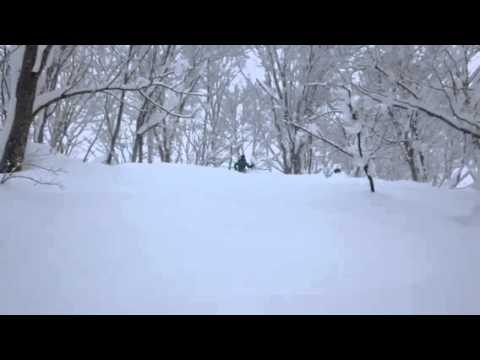 Tree run with powder snow at Niseko Village!