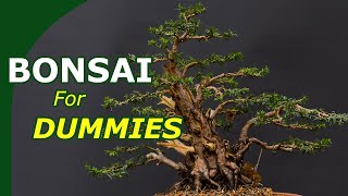 Download lagu Starting with bonsai made easy (An overview to start growing bonsai) mp3