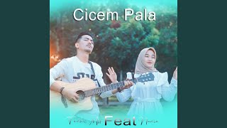 Download lagu cicem pala mp3 Download lagu cicem pala mp3