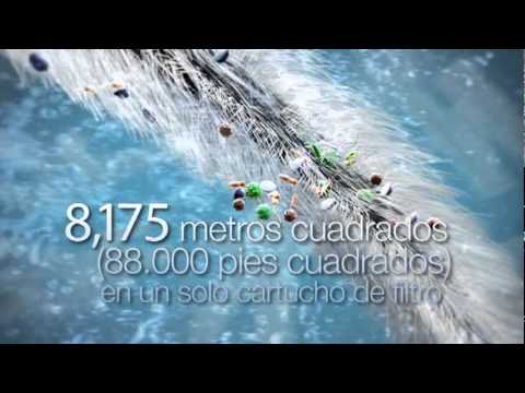 download lagu mp3 mp4 Aqua Fresca Nj, download lagu Aqua Fresca Nj gratis, unduh video klip Aqua Fresca Nj