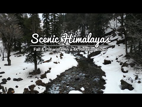 Himalayan Fall & Pre-winter in 4K Relaxing Video