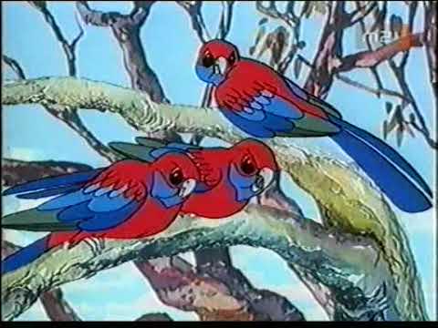 Ezüst vadló 1-8 rész