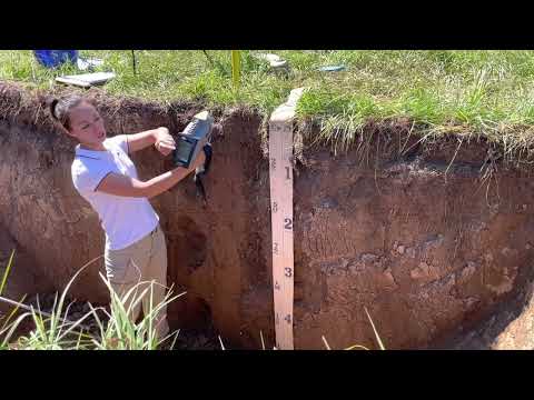 Using portable XRF in the field