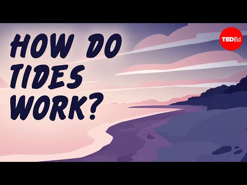 Why are there two tides a day? - Elise Cutts