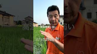 はみ出し者が世の中を救う# 津幡町#参政党#気候変動