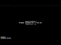 Walt Disney Studios Motion Pictures 2011