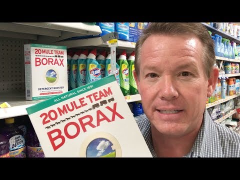 Steve Spangler loses his mind over Borax!