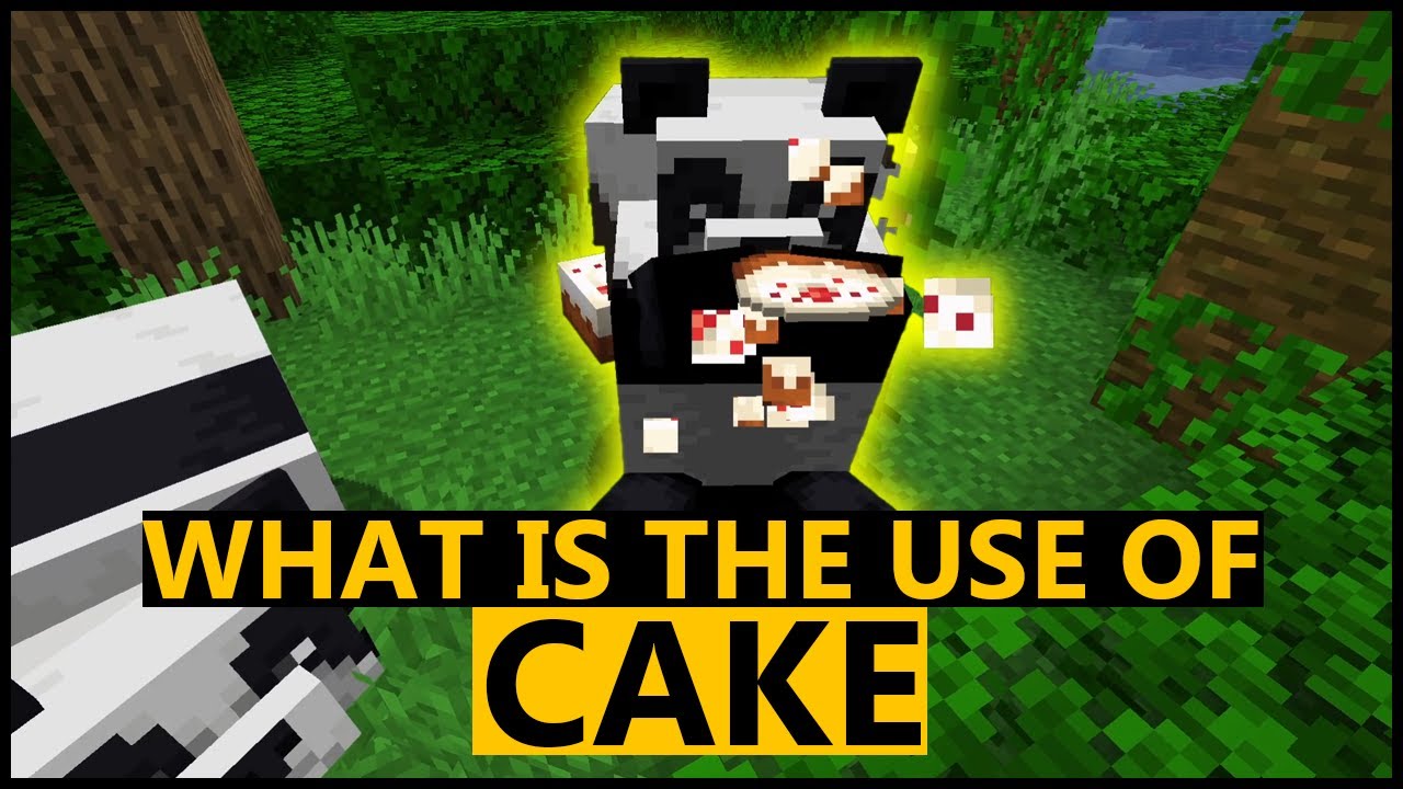 What Is The Use Of CAKE In Minecraft