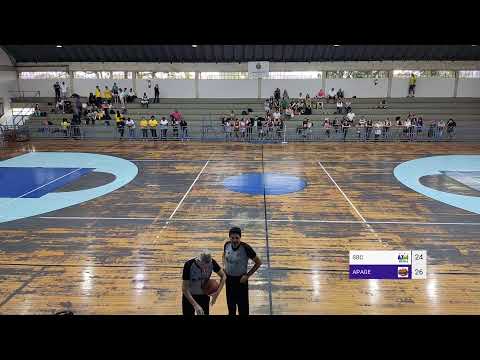 APAGEBASK X INSTITUTO BRAZOLIN/ SÃO BERNARDO - FINAL NCB SUB-12 DE FEMININO 2022.2
