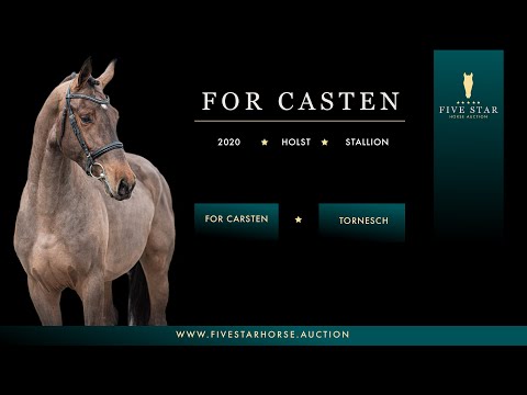 For Casten (For Carsten - Tornesch) - Five Star Horse Auction 25-28 March