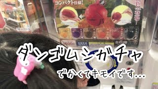 【ガチャガチャ】ダンゴムシ 大きくてリアルなガチャ【capsule toy】