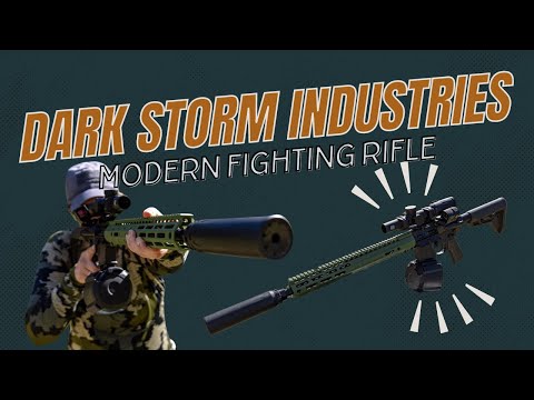 Dark Storm Industries Modern Fighting Rifle