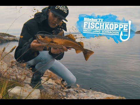 Spinnfischen in Norwegen | Mit leichtem Gerät auf Meeresräuber | Fischköppe