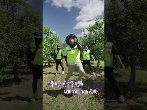 사과를 캐치캐치(농번기 농촌 일손돕기)