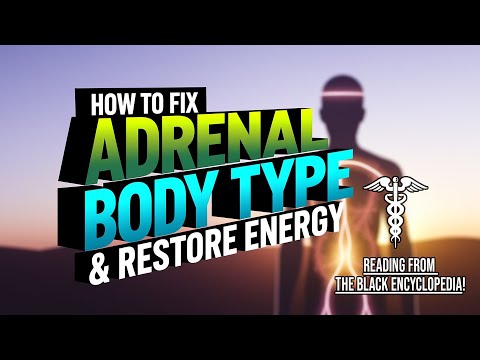 How to Fix the Adrenal Body Type & Restore Energy