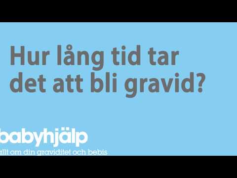 Hur lång tid tar det att bli gravid?