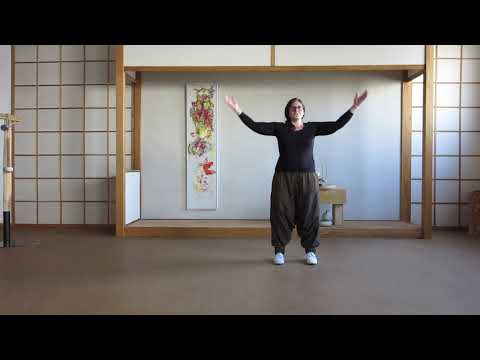 Bafa Wu Xing Gong, Teil 1