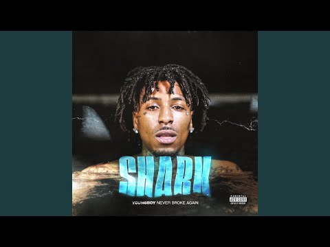 Shark