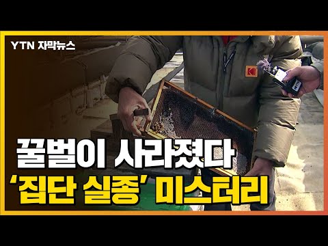 아이콘