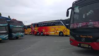 preview picture of video 'Parkir Bus'