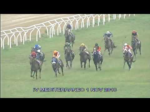 Galoppo Corse del 1 NOVEMBRE 2018