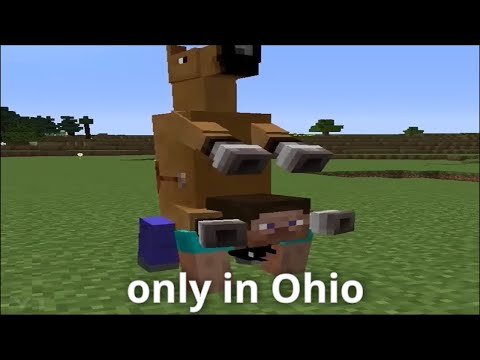 Insane Ohio Minecraft Adventure