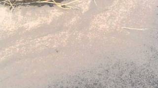 Singing Sand at Whitefish Dunes State Park, Wisconsin