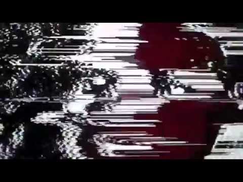 Terriers - Serpio 800